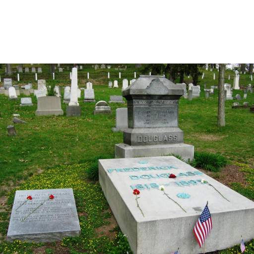 Douglass grave overall