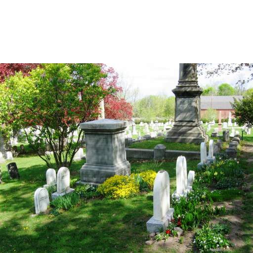Anthony family plot overall