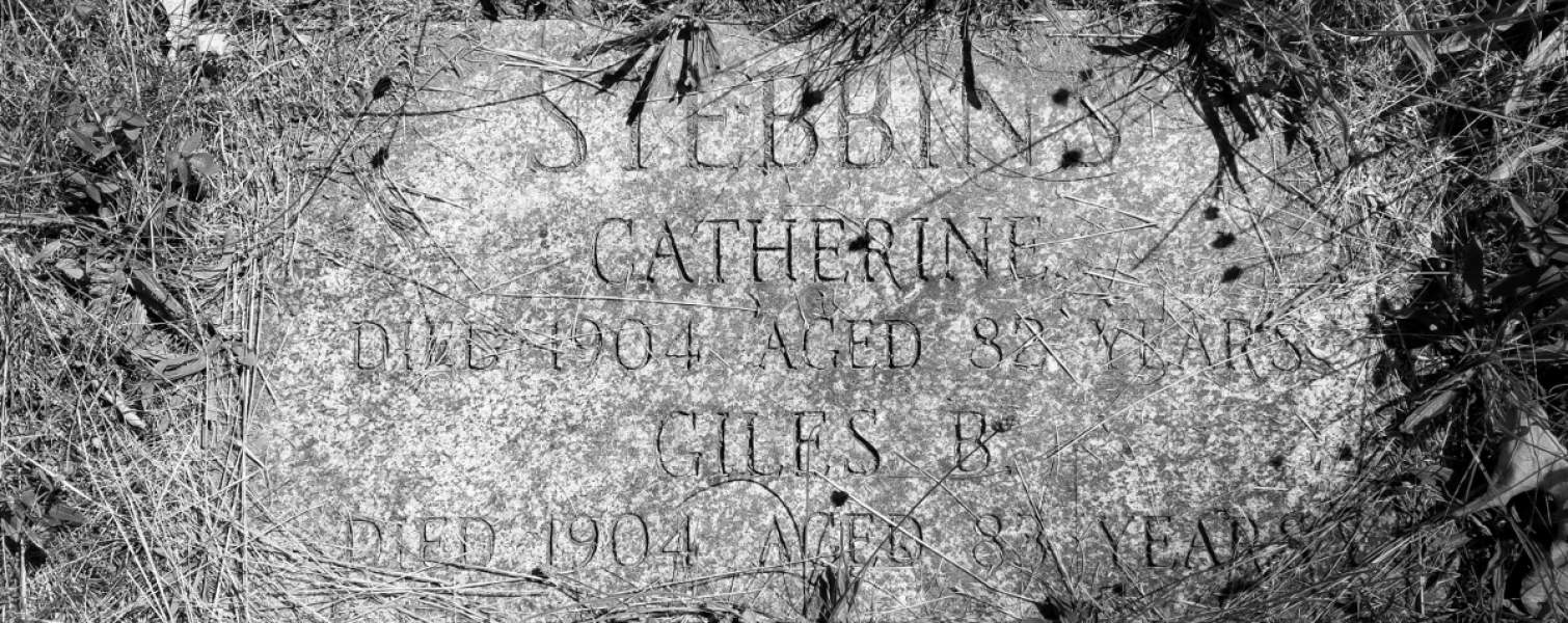 Catherine Fish and Giles Stebbins Grave Site